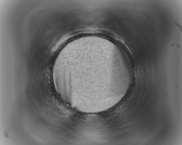 X0000103161304200809121829