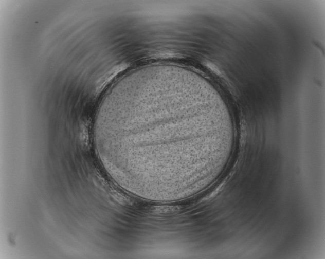 X0000103161305200809121829