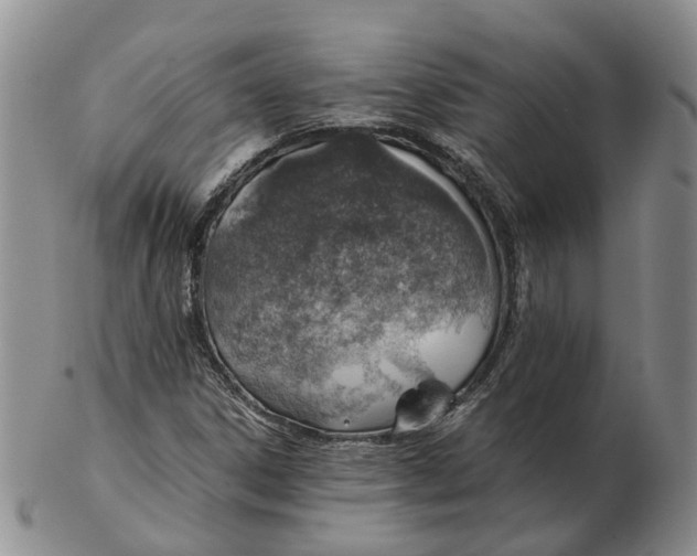 X0000103161306200809121829