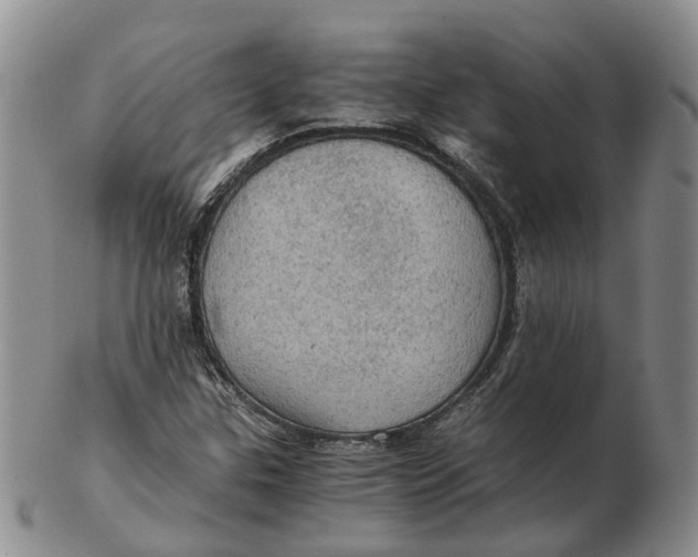 X0000103161307200809121829