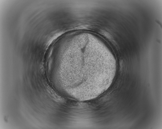 X0000103161308200809121829