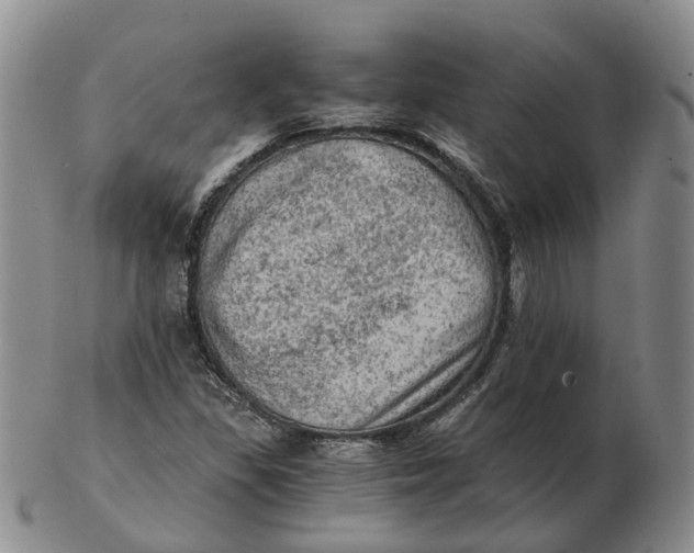 X0000103161309200809121829