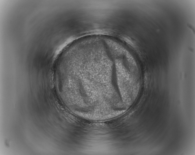 X0000103161310200809121829