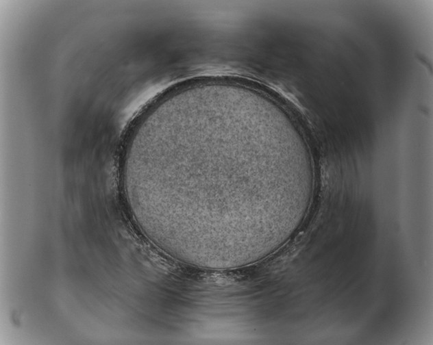 X0000103161311200809121829