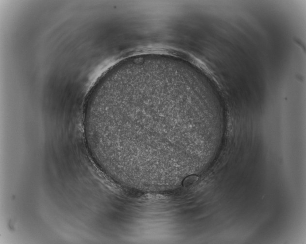 X0000103161312200809121829