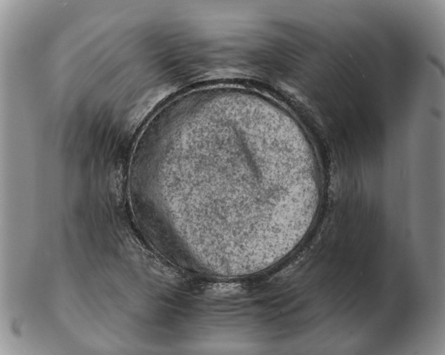 X0000103161313200809121829