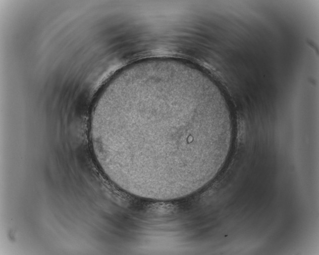 X0000103161314200809121829