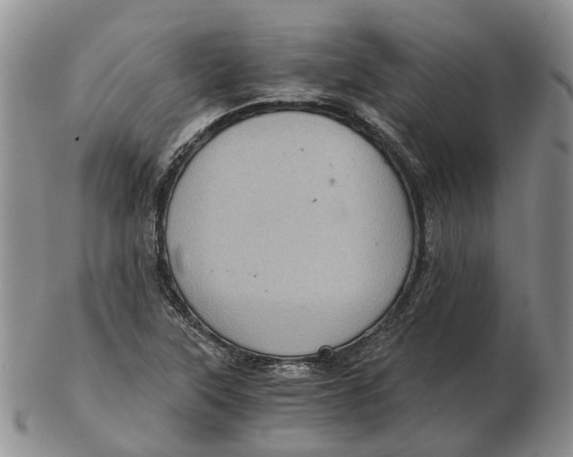 X0000103161315200809121829