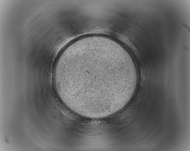 X0000103161316200809121829