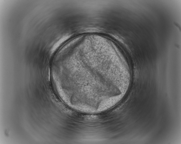 X0000103161317200809121829