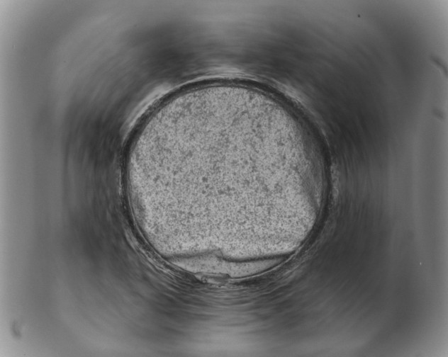 X0000103161318200809121829