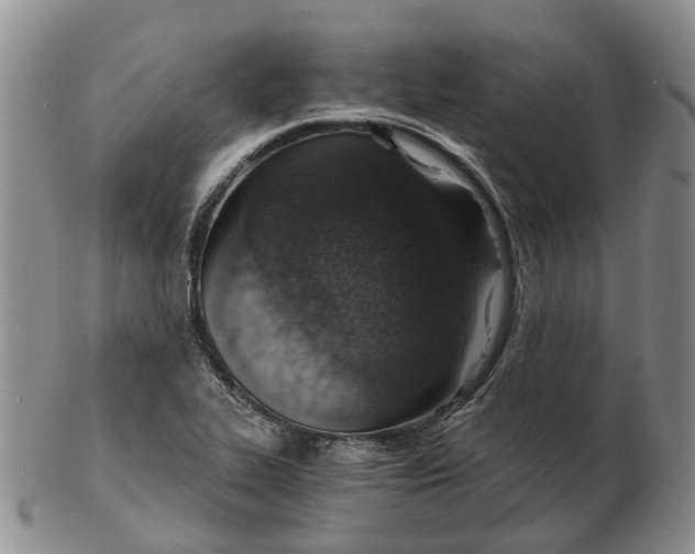 X0000103161319200809121829