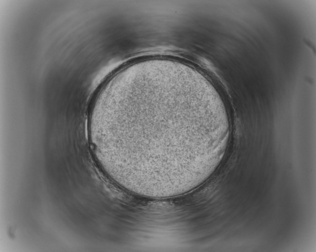 X0000103161320200809121829