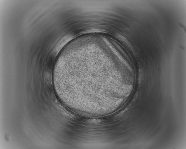 X0000103161321200809121829