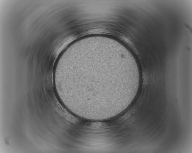 X0000103161322200809121829