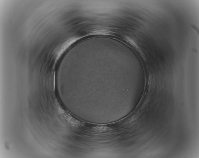 X0000103161323200809121829