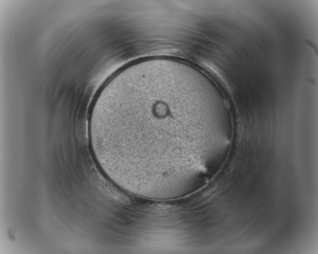 X0000103161324200809121829