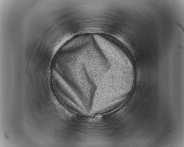 X0000103161325200809121829