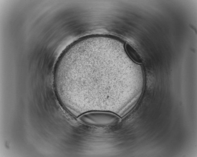 X0000103161326200809121829