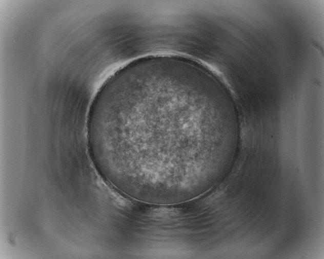 X0000103161327200809121829