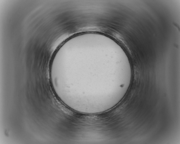 X0000103161328200809121829