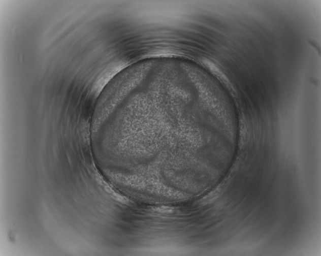 X0000103161329200809121829