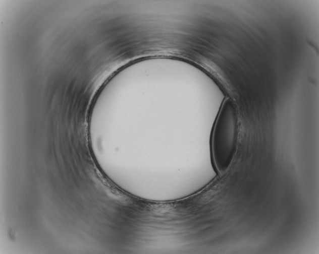 X0000103161332200809121830