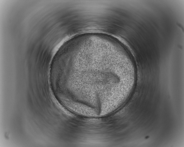 X0000103161333200809121830