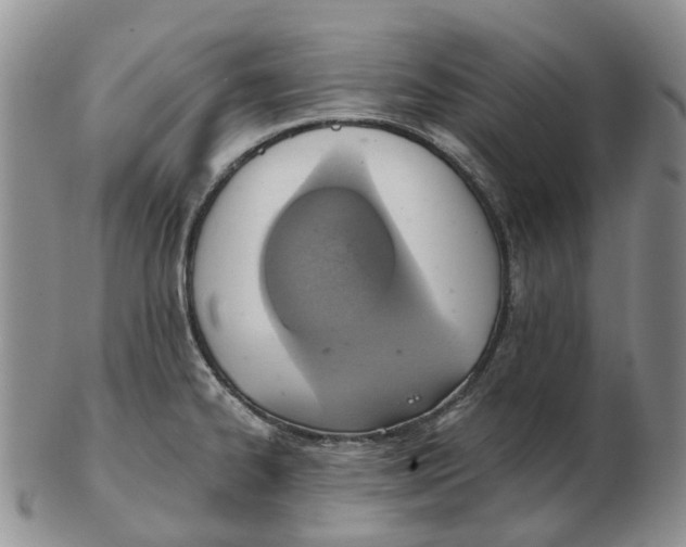 X0000103161334200809121830