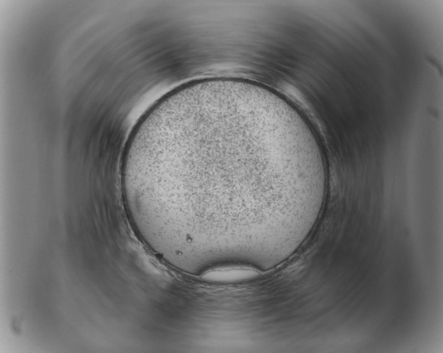 X0000103161336200809121830