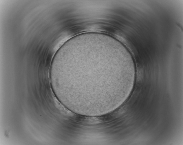 X0000103161338200809121830