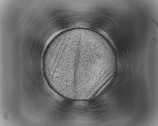 X0000103161339200809121830