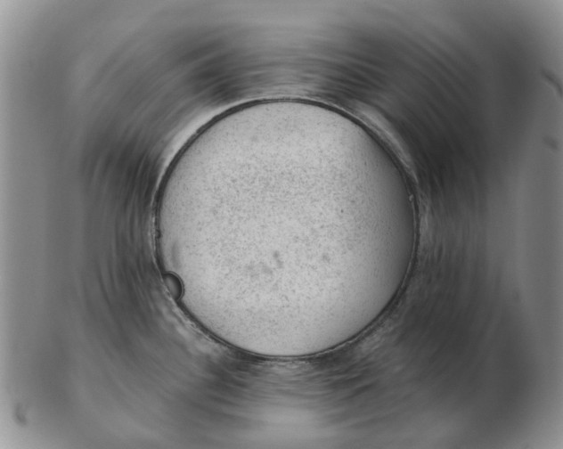 X0000103161340200809121830