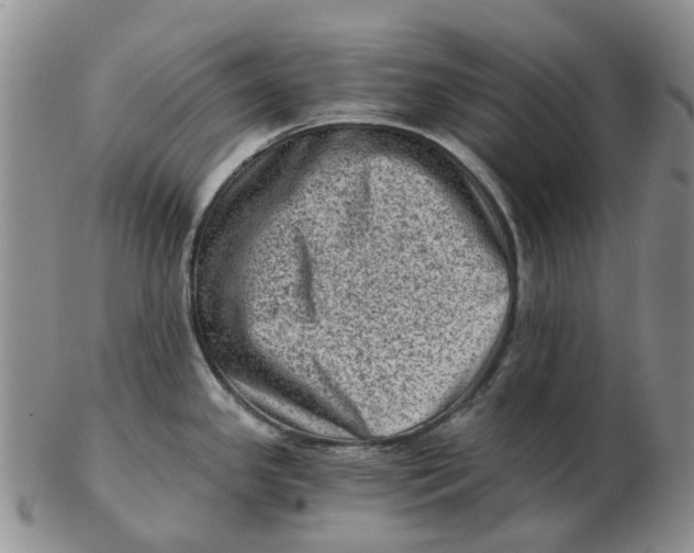 X0000103161341200809121830