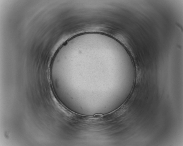 X0000103161342200809121830