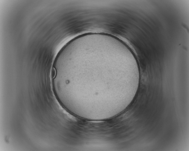 X0000103161343200809121830