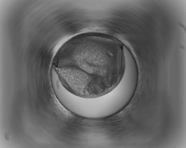 X0000103161344200809121830