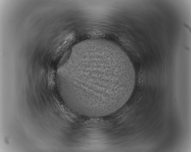 X0000103161346200809121829