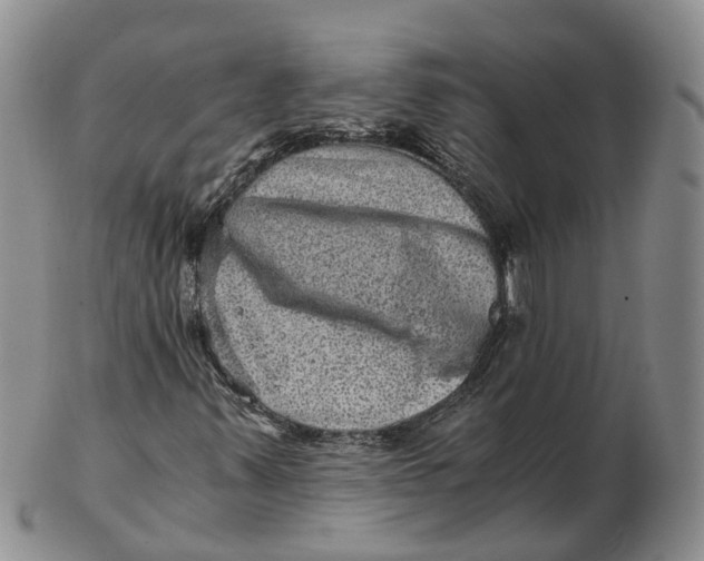 X0000103161347200809121829