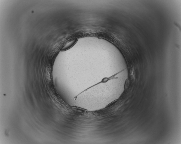 X0000103161348200809121829