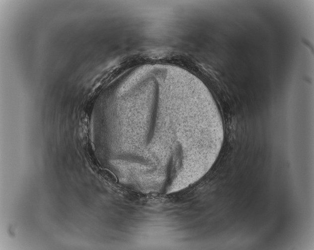 X0000103161349200809121829