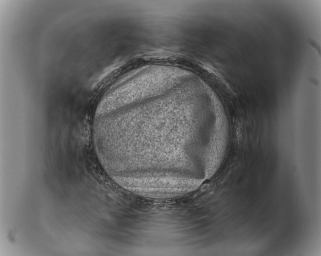 X0000103161350200809121829