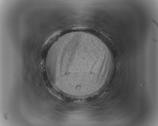 X0000103161351200809121829