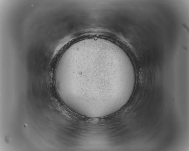 X0000103161352200809121829