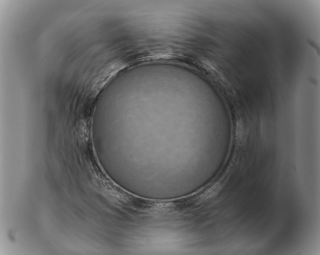 X0000103161353200809121829