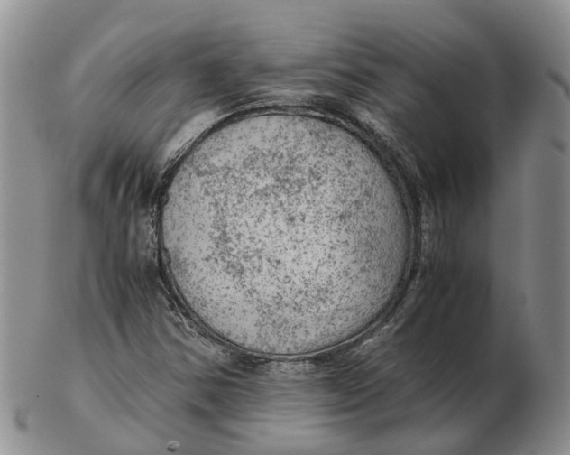 X0000103161354200809121829