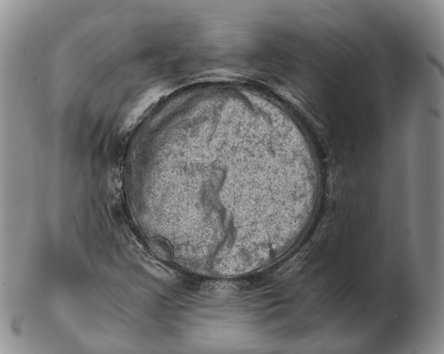 X0000103161355200809121829