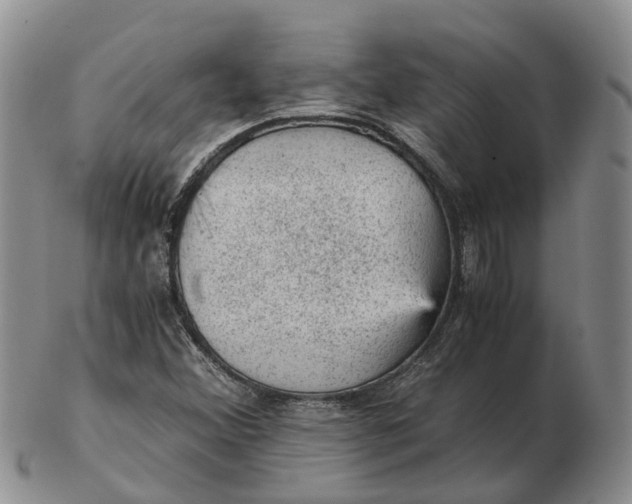 X0000103161356200809121829