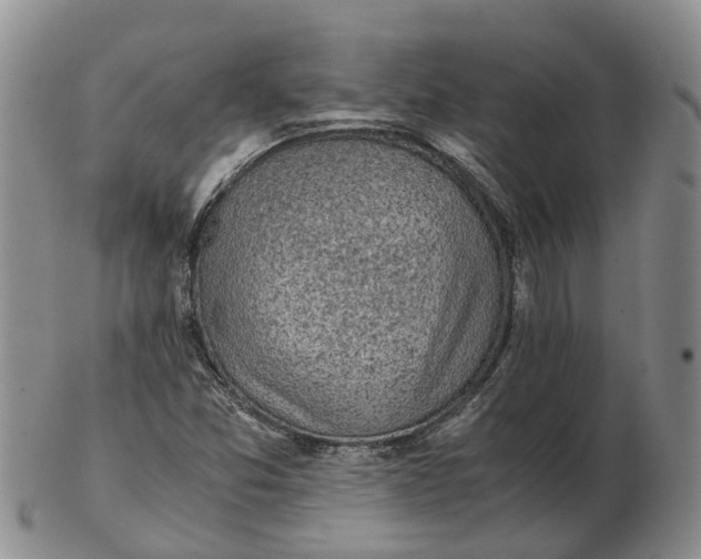 X0000103161357200809121829