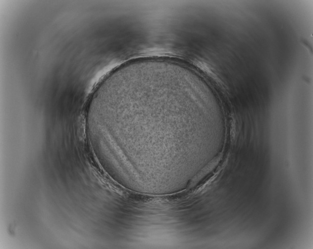 X0000103161358200809121829